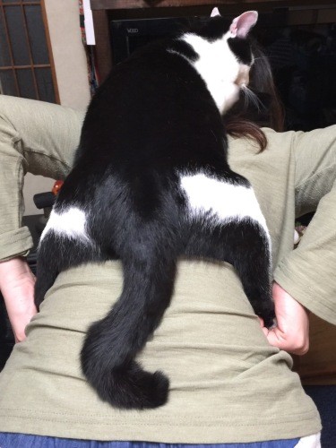 おかんにおんぶされたり（夏子さん提供）