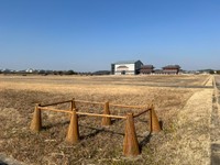 奈良・平城京跡に設置されたカラーコーンが話題に（ヨシノマホさん提供）