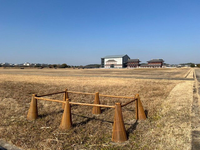 奈良・平城京跡に設置されたカラーコーンが話題に（ヨシノマホさん提供）
