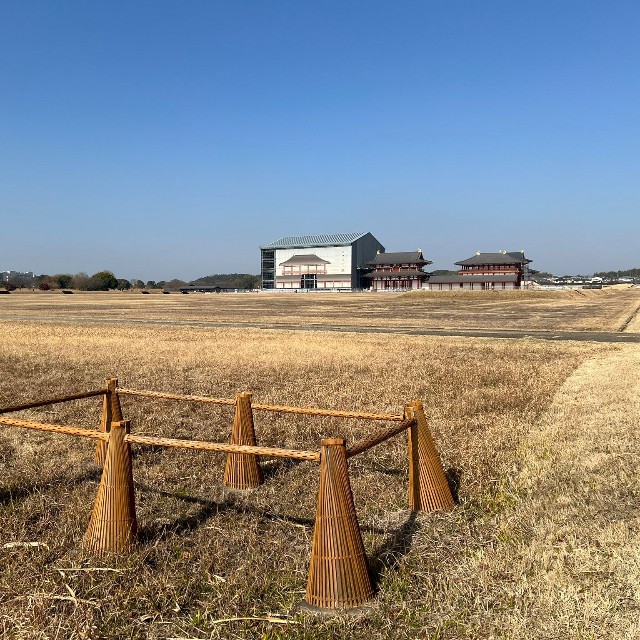 奈良・平城京跡に設置されたカラーコーンが話題に（ヨシノマホさん提供）