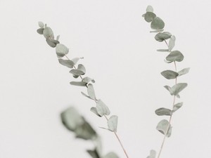 「迷ったときはシンプルに」くっつけた理由を全部剥がして見つけた答え