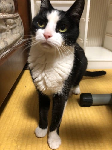 「ジャンプに挑戦するぞ～！」