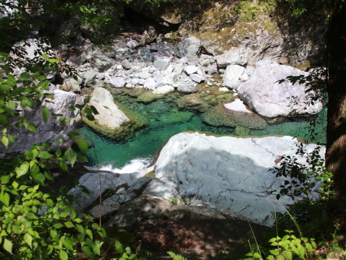 「仁淀ブルー」の仁淀川