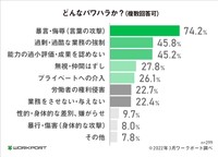 どんなパワハラを受けたか（複数回答可）（提供画像）