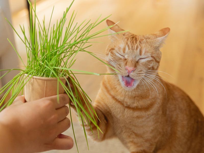 ウヒョーなショット