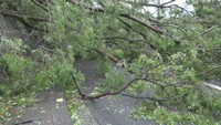 香川・土庄町小瀬　3日午前5時50分ごろ