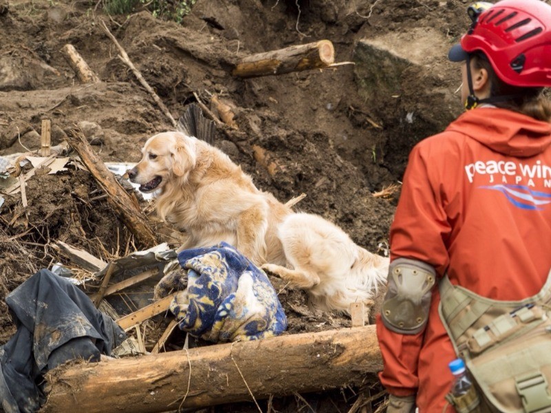 大分県中津市耶馬渓町の災害現場で。