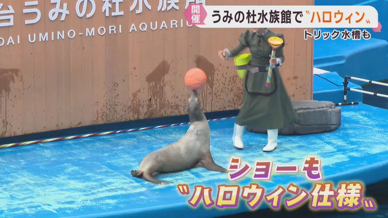 一足先に海の生き物たちとハロウィン　仙台うみの杜水族館