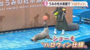 一足先に海の生き物たちとハロウィン　仙台うみの杜水族館