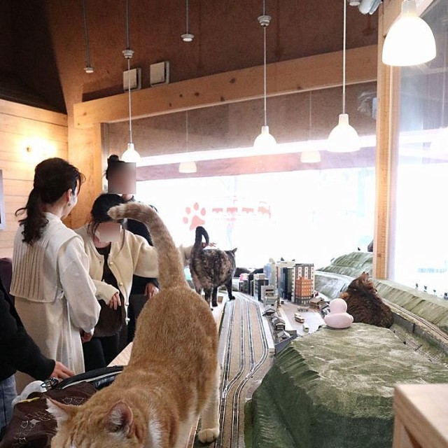 さて人間の相手でもするか