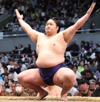 春場所、新入幕で10勝を挙げた藤青雲