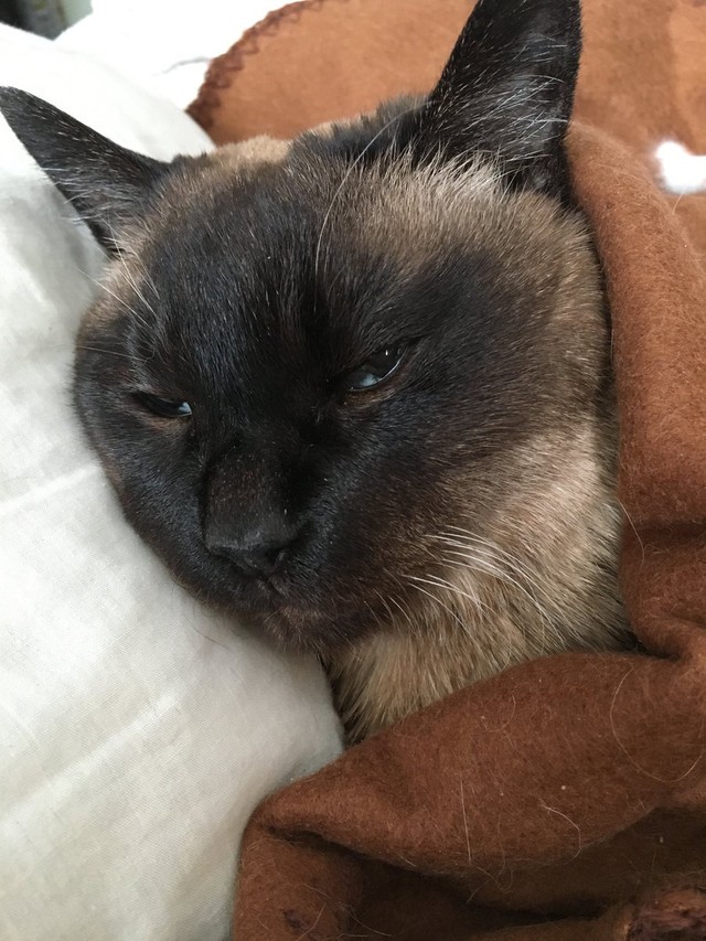 亡くなる2日前＝turyさん（@tury21702354）提供