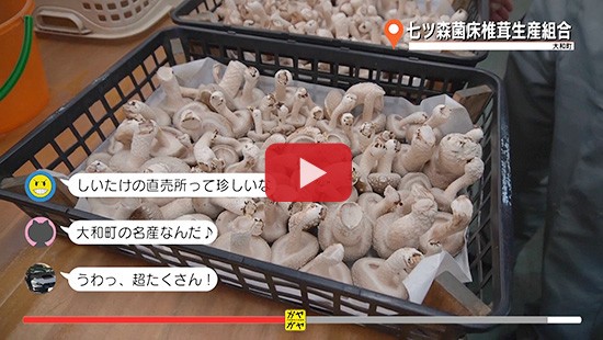 #369七ツ森菌床椎茸生産組合①