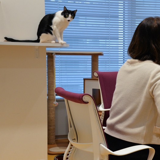 「こんにちは、君の名は？」