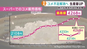 米の価格高騰いつまで　米不足解消へ生産量を増やす取り組み　品種改良で暑さに強い苗も開発