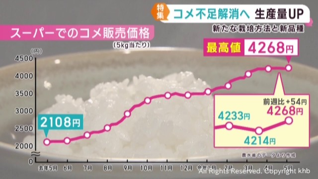 価格高騰が続く