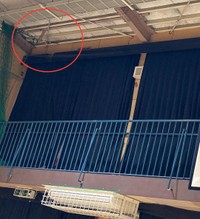 どこにいるのかなかなか分からなかった＝Tanaka Yokoさん提供