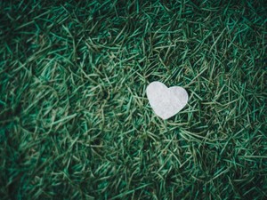 私の地獄のような高校生活から、笑顔で救ってくれた「彼の存在」