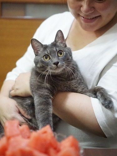 「ジャイブいつもありがとう」「こちらこそ」