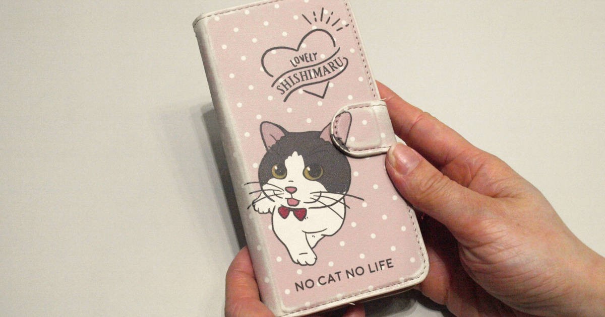 拝見、ネコレクション！ ご自慢の猫グッズ、見せてもらいました | 「犬