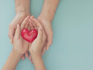 遺贈の寄付先を一覧で紹介！　特徴や選び方のポイントも解説