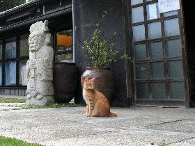 猫好きのための猫アート展、１７０人３００点が大集合　千葉