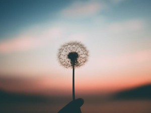 「わたしと戦争」をテーマにエッセイを募集！8月9日締め切り