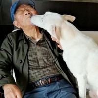 じぃじ大好き！ 熱烈キスをするテラゾーくん（画像提供：テラゾーさん）