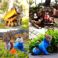 こよみちゃんのネコバスに悶えます…