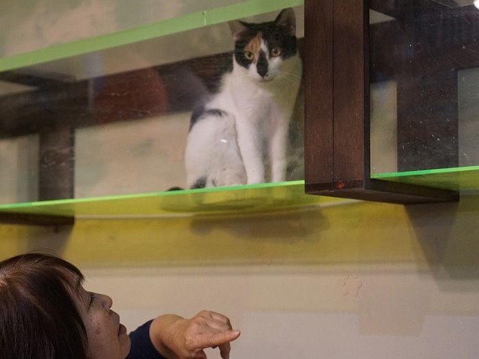 今村さんとコンタクトを取るみけお