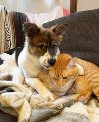 アグちゃんとターくん（直美さん提供、Instagramよりキャプチャ撮影）