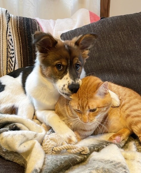 アグちゃんとターくん（直美さん提供、Instagramよりキャプチャ撮影）