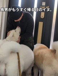 お兄ちゃんに甘える表情がたまりません♡（提供：＠ko_yuki1115さん）
