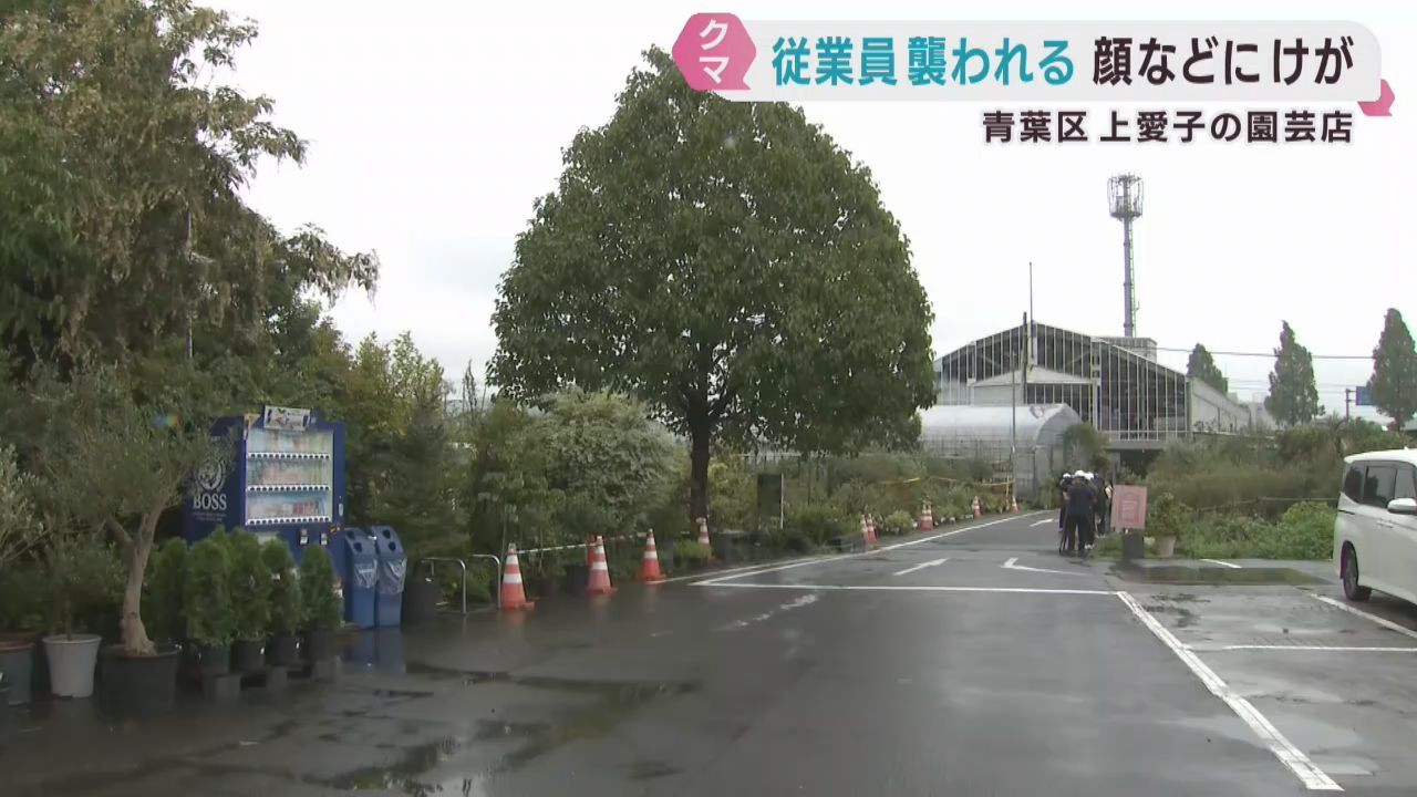 仙台・青葉区の園芸店で従業員がクマに襲われけが　箱罠設置し警戒続く