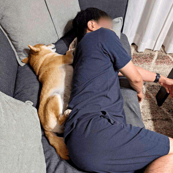 お兄ちゃんとシンクロ寝するすずちゃん（画像提供：入間川いぬ散歩会さん）