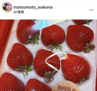 松本若菜のインスタグラム＠matsumoto_wakanaより