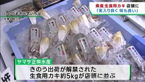 宮城県産カキが店頭に並ぶ　例年より１カ月遅れで待ちに待った出荷解禁