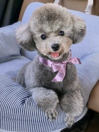 車でお出かけ中、笑みを浮かべるエマちゃん（画像提供：エマです！さん）