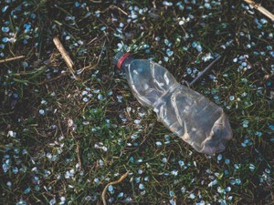 「エコは偽善」と先生は冷房を強めた。私は薄着にして温度を設定する