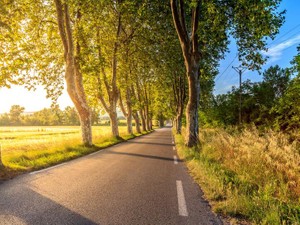 大学受験に2度失敗しても気づけなかった「要領の悪い自分」