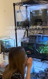 海水・淡水合わせて15種類ほどのカニを飼育しています／るう 非日常のアクアリウムさん（@aquariumruu）提供