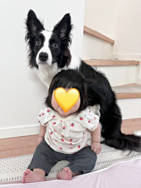 赤ちゃんの背もたれになるエマちゃん（画像提供：エマ:Emmaさん）