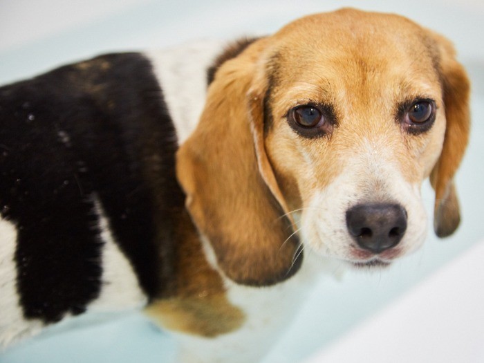 シェリのほうが長湯。