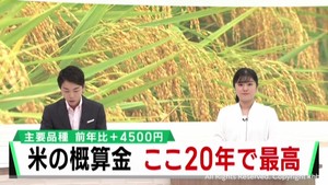 米の概算金　ひとめぼれやササニシキが過去２０年で最高に