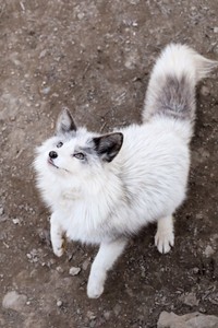 反対側からもパシャリ（提供：狐仙人乃弟子 トコノオルタさん）