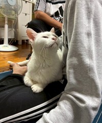 家族みんなの人気者に／提供：yukaさん