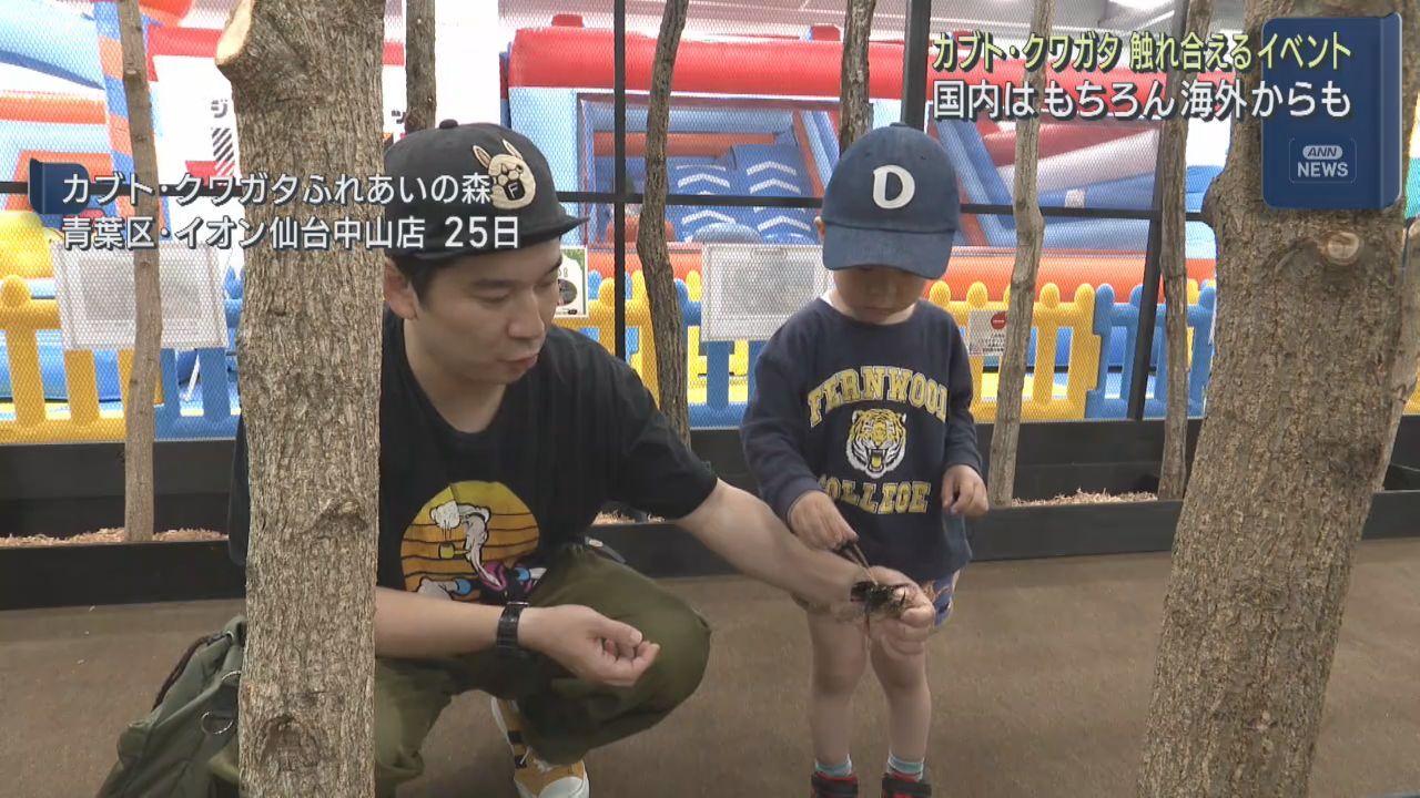 夏休みを前に昆虫と触れ合うカブトクワガタふれあいの森　イオン仙台中山店