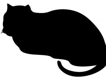 「ギャンブルに負けた憂さはらしに…」猫を踏んで殺した疑い