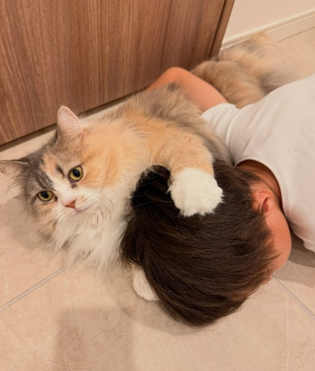 息子さんと戯れるにゃーちゃん。まるで兄弟！（飼い主さん提供、Instagramよりキャプチャ撮影）