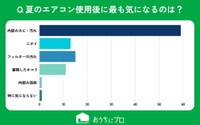 夏の使用後にエアコンを掃除するなら、最も気になるのは何ですか？（提供画像）